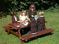 Delux recycled plastic picnic table for schools